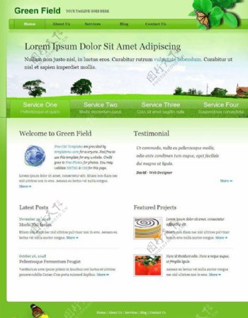 绿色服务网页模板图片
