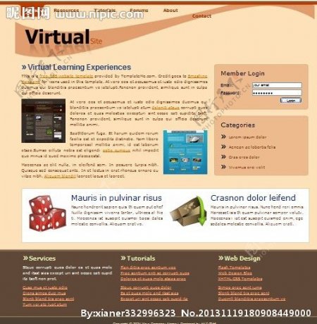 虚拟网站网页模板图片