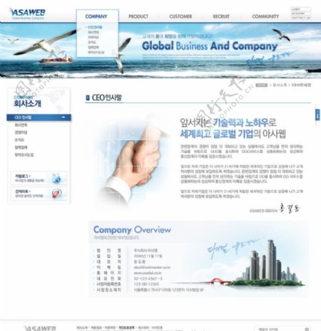 韩国海鸥鸟大海海洋天空公司图片
