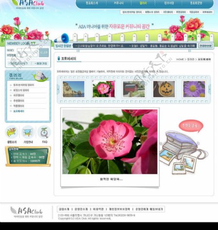韩国鲜花模板图片