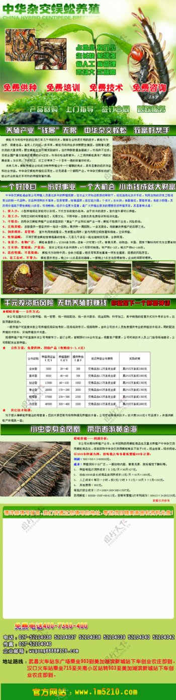 蜈蚣养殖招商网页图片