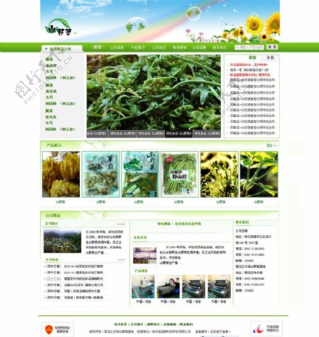 绿色山野菜网站图片