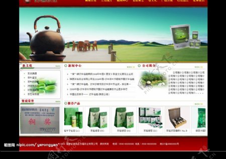 某茶叶公司网站模板图片