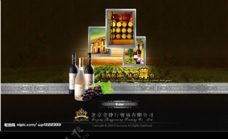 葡萄酒网站引导面图片