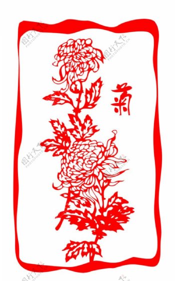 梅兰竹菊之菊图片