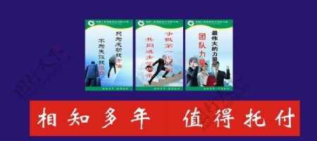 中国人寿展板KT板图片