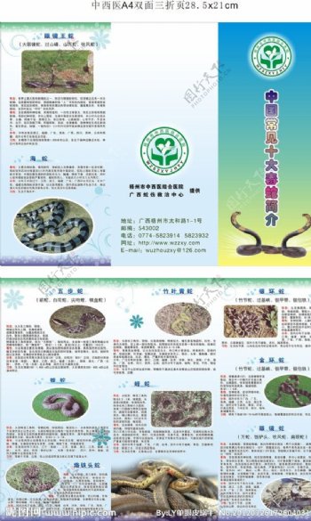 中国常见十大毒蛇简介图片