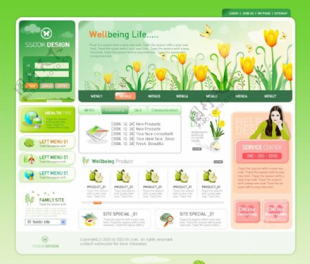 绿色活泼网站模板图片