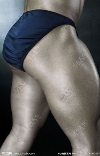 大腿肌肉图片