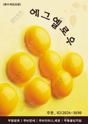 鸡蛋海报图片