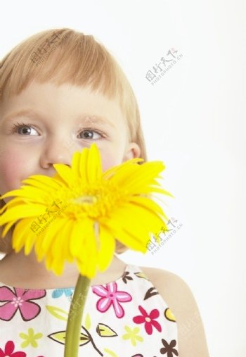 拿着黄色菊花的漂亮小女孩图片