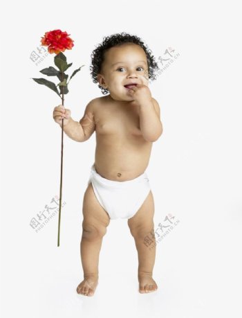 拿着一朵鲜花的宝宝婴儿图片