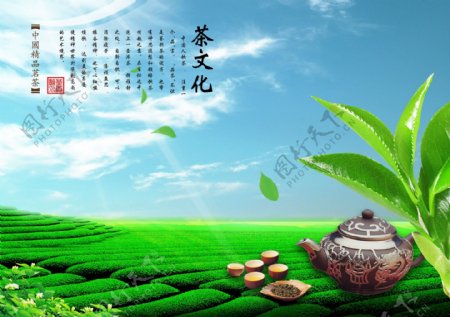 茶叶素材海报图片