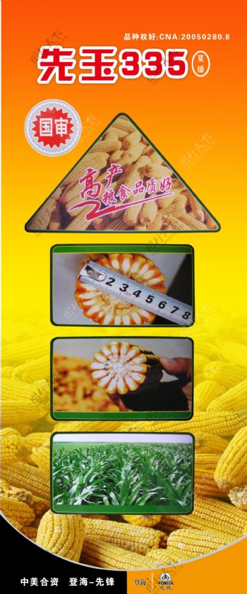 玉米种子广告图片