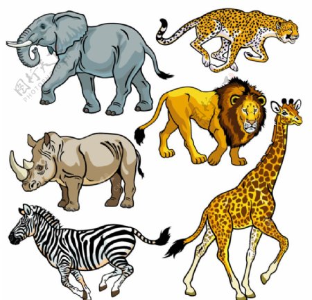 卡通高清非洲大型野生动物图片