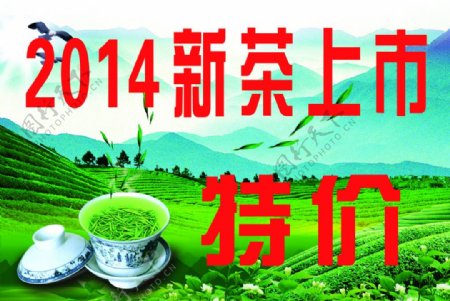 2014新茶上市图片