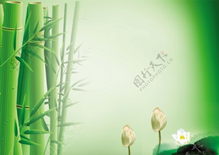 竹子中国风海报图片