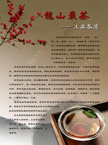 龙山枣茶图片