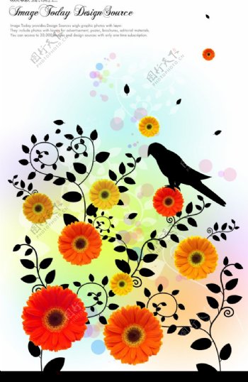 花与鸟图片