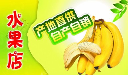 香蕉图图片