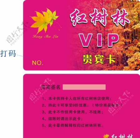 红树林VIP卡图片