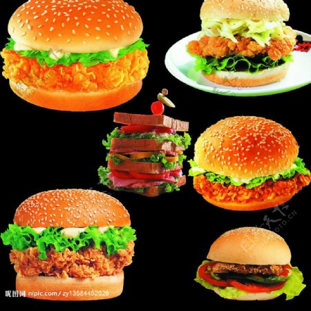 汉堡分层图图片