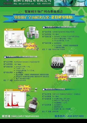 DM彩页产品促销企业宣传绿色图片