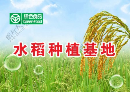 水稻基地海报图片