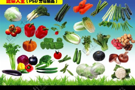 蔬菜素材PSD分层图片