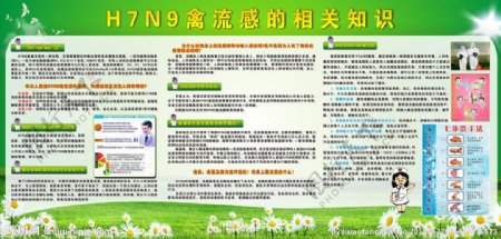 H7N9宣传单图片