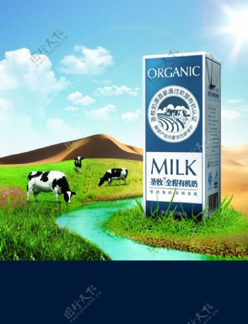 圣牧牛奶海报主视觉竖版图片