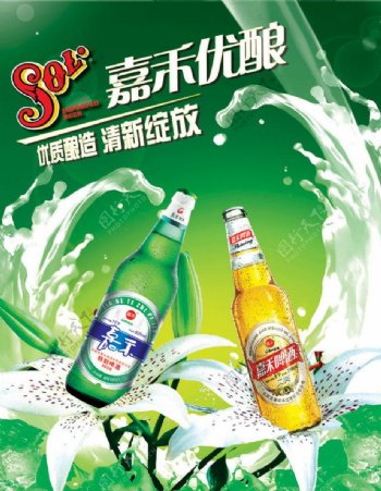 嘉禾啤酒宣传海报图片