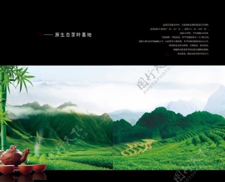 翠绿茶山茶文化图片