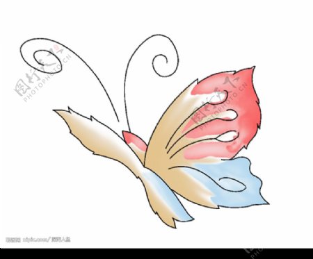 最新韩国蝴蝶花纹系列图片