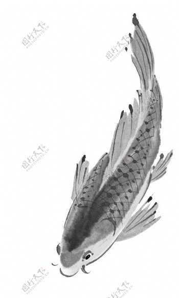 中国国画作品水墨鱼鲤鱼图片