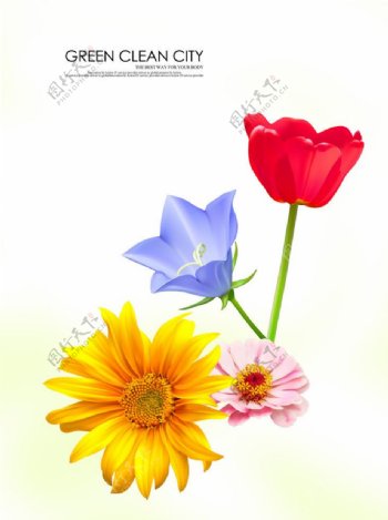 鲜花广告图片