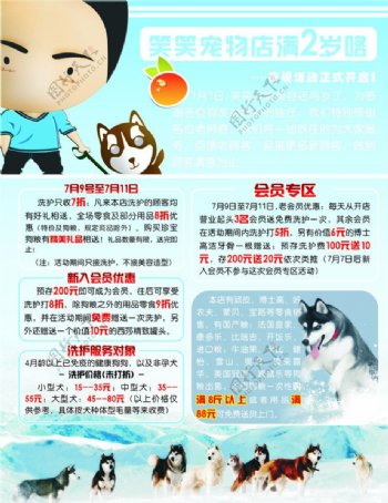 宠物店开业海报彩页图片