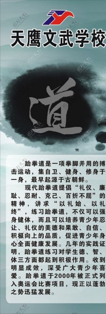 天鹰文武跆拳道海报图片