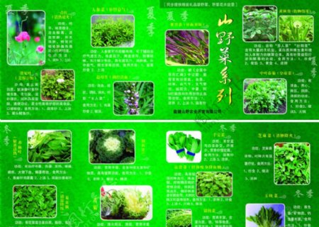 山野菜系列图片
