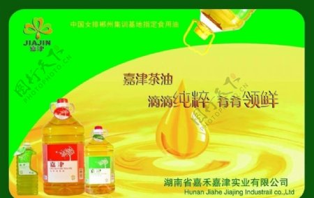 嘉津茶油广告图片