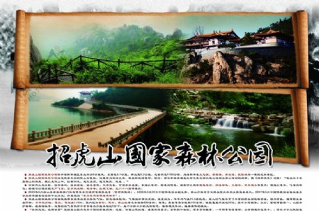招虎山国家森林公园海报设计图片