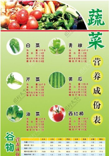 蔬菜营养成份表图片