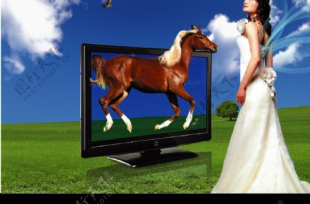 液晶电视广告图片