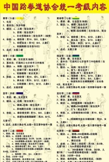 中国跆拳道协会考级内容图片