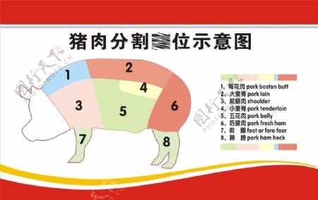 猪肉分割图示图片