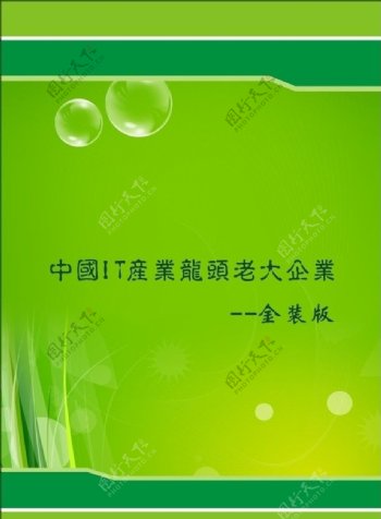 中国龙头企业金装版书籍封面图片