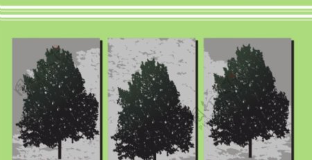 黑色树子抽象无框画图片