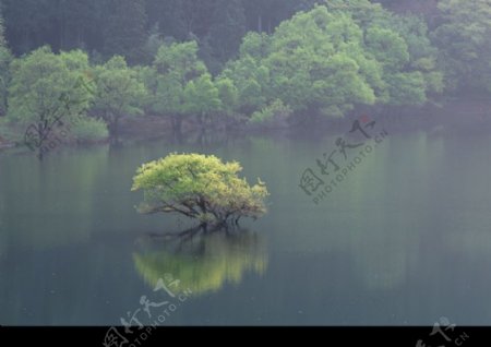 高山流水0141