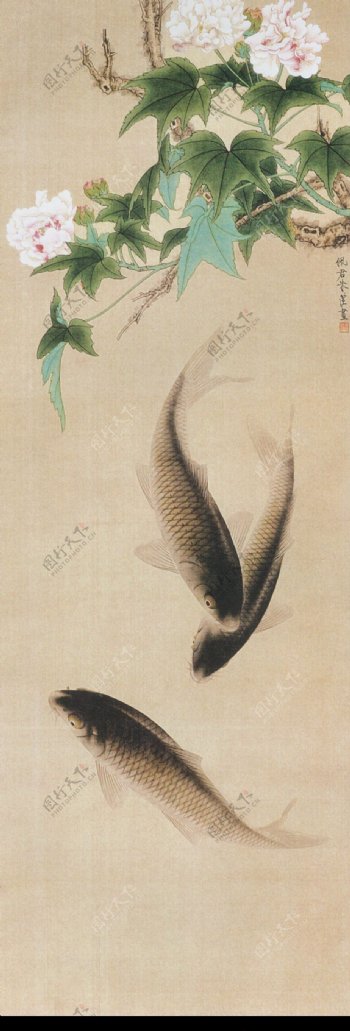 芙蓉鲤鱼图
