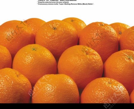 香橙0037